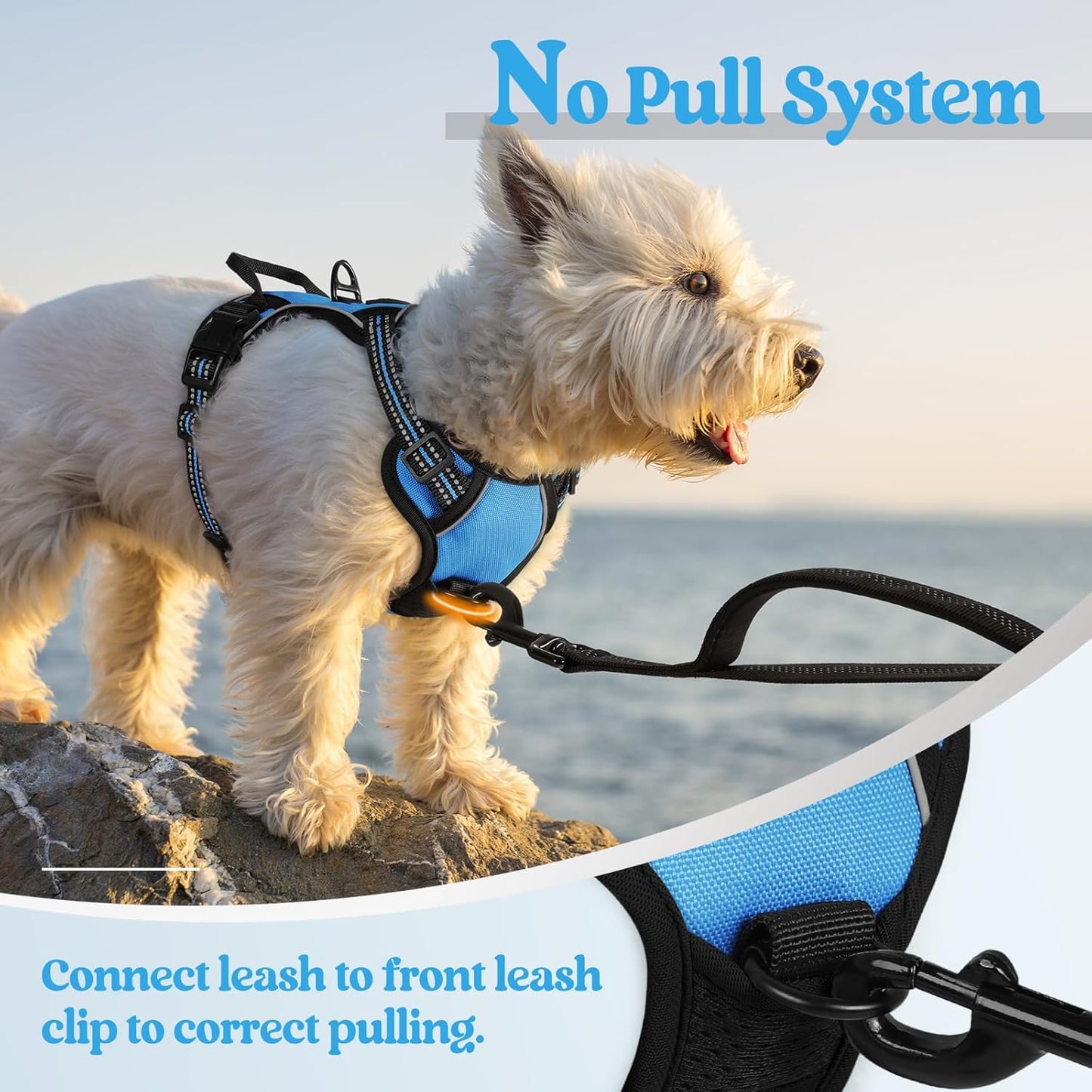Dog Harness No Pull – Adjustable Soft Padded Vest with 2 Leash Clips, Reflective, No Choke Design, Easy Control Handle