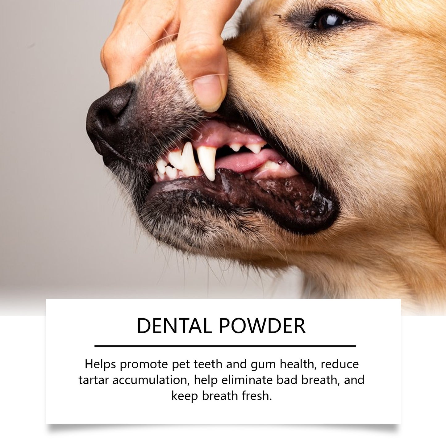 Yegbong Dog Teeth Cleaning Powder – Plaque & Tartar Remover, Breath Freshener with Natural Enzymes, Seaweed & Probiotics – 60-Day Supply