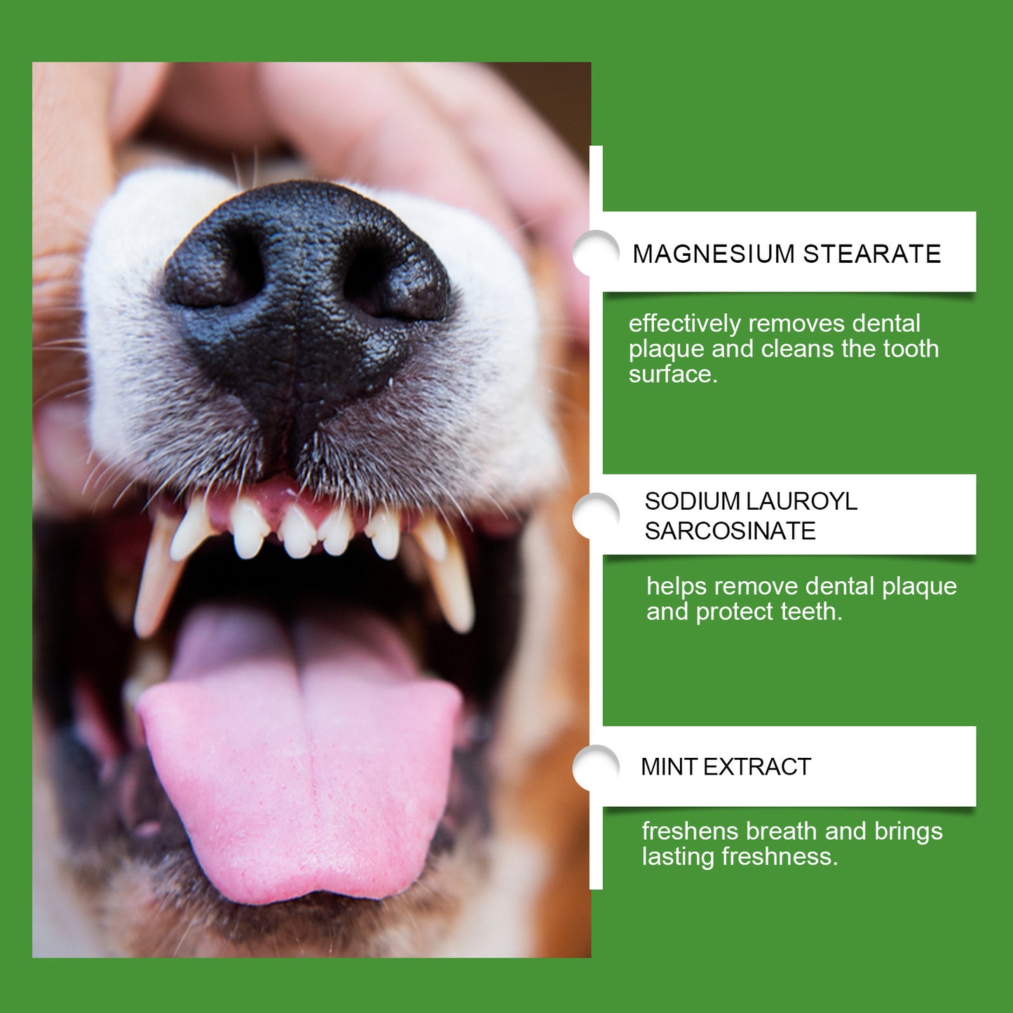 Yegbong Dog Teeth Cleaning Powder – Plaque & Tartar Remover, Breath Freshener with Natural Enzymes, Seaweed & Probiotics – 60-Day Supply