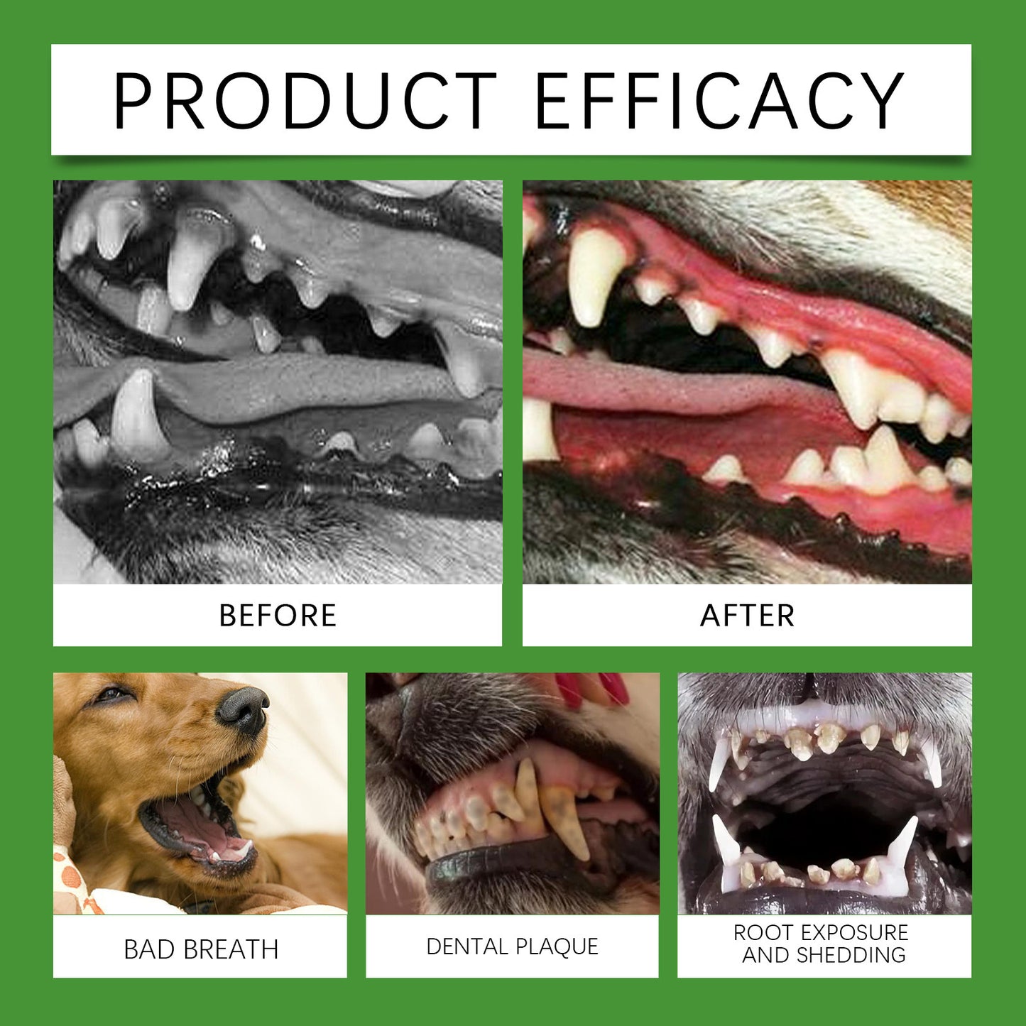 Yegbong Dog Teeth Cleaning Powder – Plaque & Tartar Remover, Breath Freshener with Natural Enzymes, Seaweed & Probiotics – 60-Day Supply