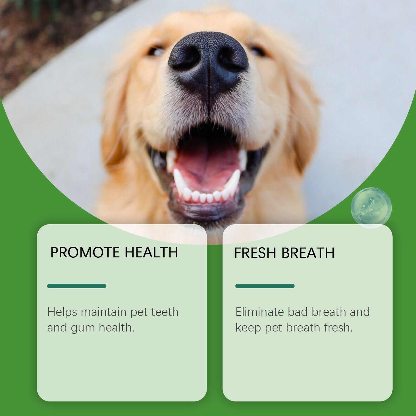 Yegbong Dog Teeth Cleaning Powder – Plaque & Tartar Remover, Breath Freshener with Natural Enzymes, Seaweed & Probiotics – 60-Day Supply