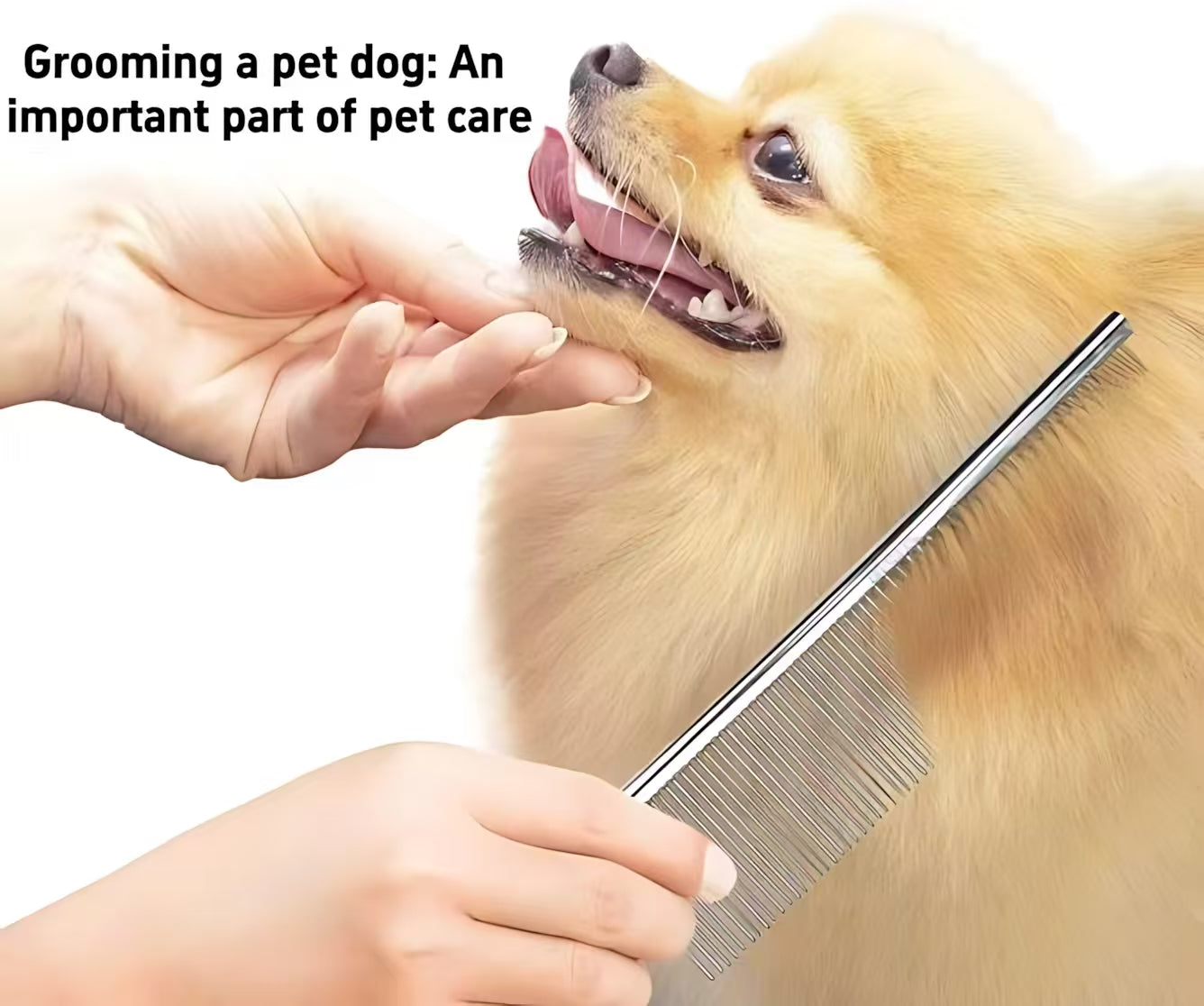 Pet Grooming Scissors Kit – 4-Piece Set with Straight, Curved, Thinning Scissors & Comb for Dogs and Cats