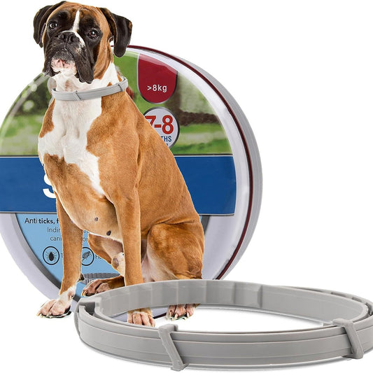 Flea and Tick Collar for Large Dogs – 8-Month Protection – Adjustable Waterproof Design