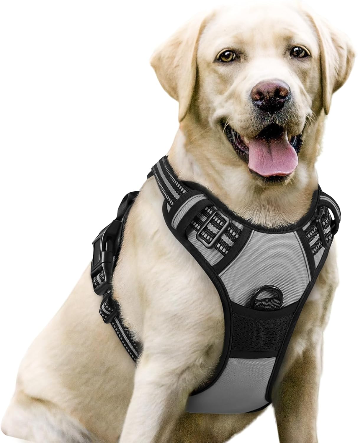 Dog Harness No Pull – Adjustable Soft Padded Vest with 2 Leash Clips, Reflective, No Choke Design, Easy Control Handle